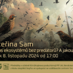 Kateřina Sam: Kolaps ekosystémů bez predátorů? A jakou roli hrají ptáci (8. listopadu 2024 – Živě Benátská 2, Přírodovědecká fakulta UK, Praha)